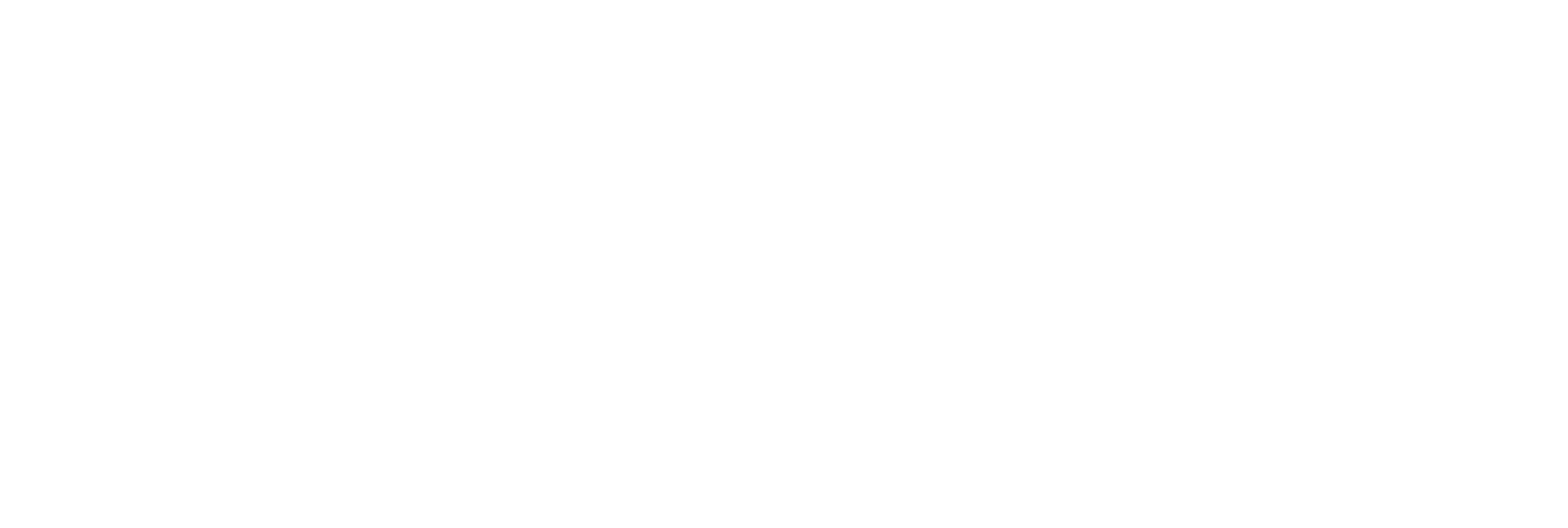 Mountain BizWorks Logo