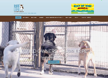 Image from Ruff Life Dog Training Website - Nanette Creative Portfolio